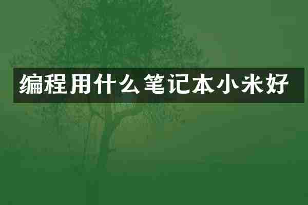 编程用什么笔记本小米好
