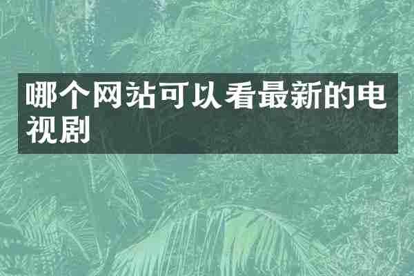 哪个网站可以看最新的电视剧