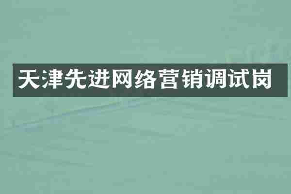 天津先进网络营销调试岗