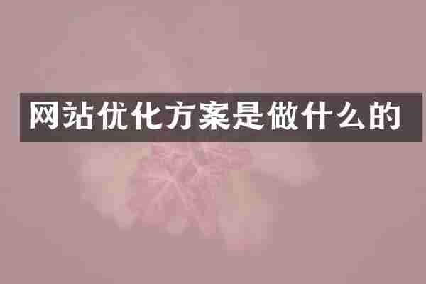网站优化方案是做什么的