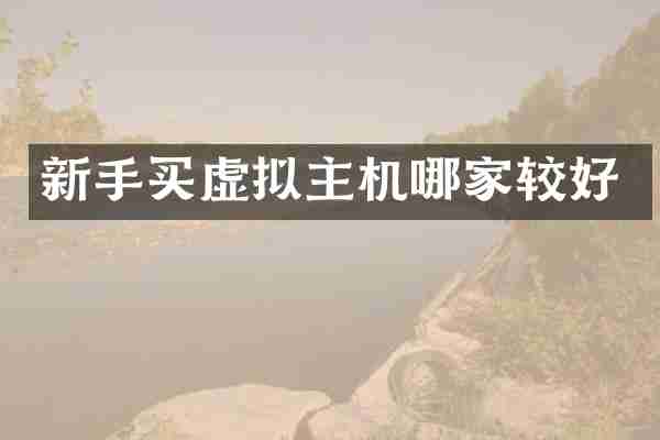 新手买虚拟主机哪家较好