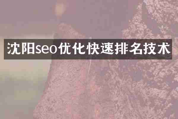 沈阳seo优化快速排名技术