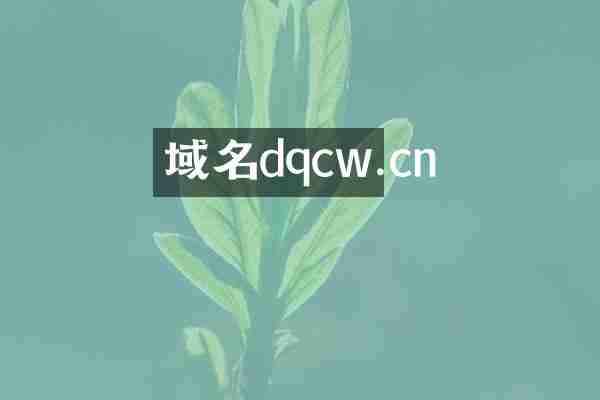 域名dqcw.cn