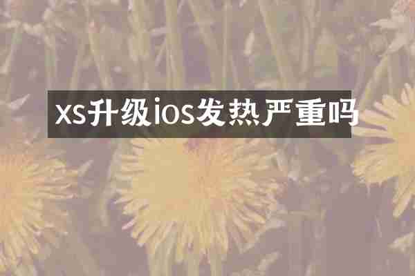 xs升级ios发热严重吗