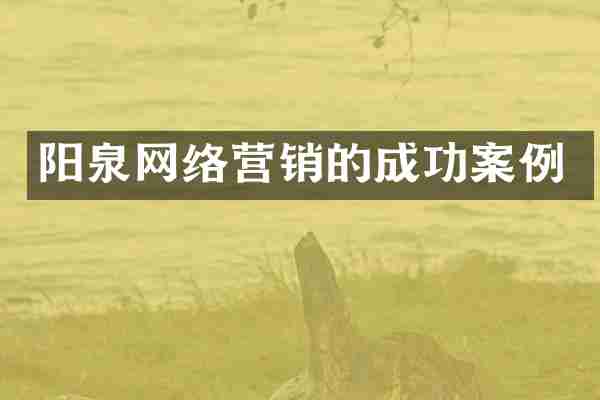 阳泉网络营销的成功案例