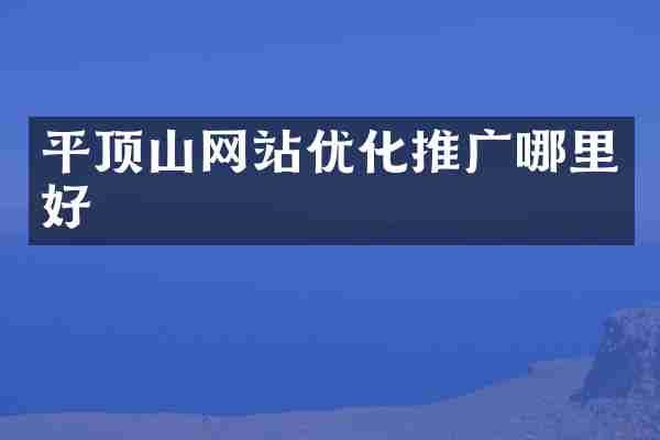 平顶山网站优化推广哪里好