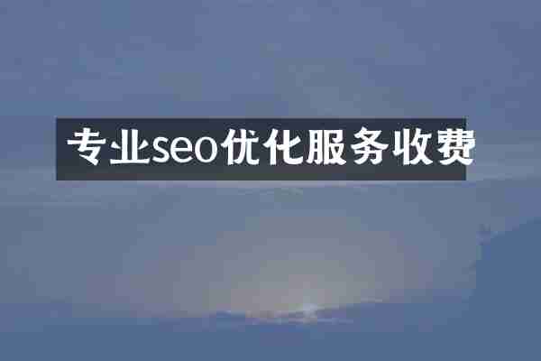 专业seo优化服务收费