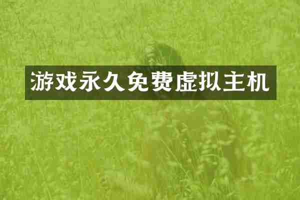 游戏永久免费虚拟主机