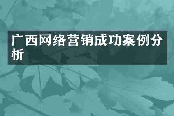 广西网络营销成功案例分析