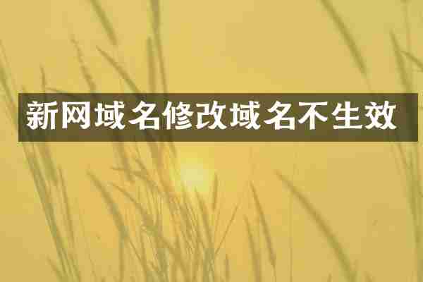 新网域名修改域名不生效