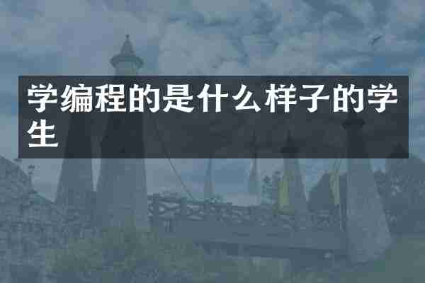 学编程的是什么样子的学生