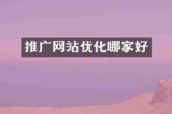 推广网站优化哪家好