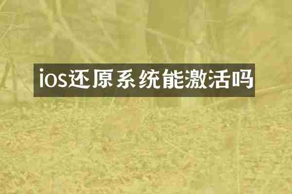 ios还原系统能激活吗