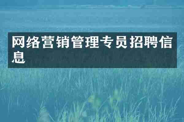 网络营销管理专员招聘信息