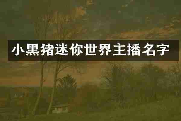 小黑猪迷你世界主播名字