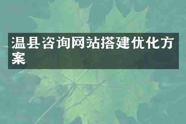 温县咨询网站搭建优化方案