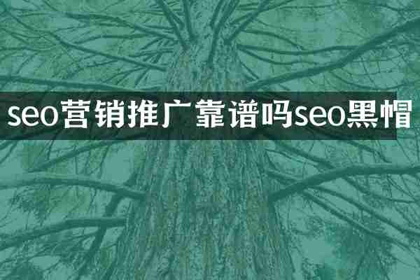 seo营销推广靠谱吗seo黑帽