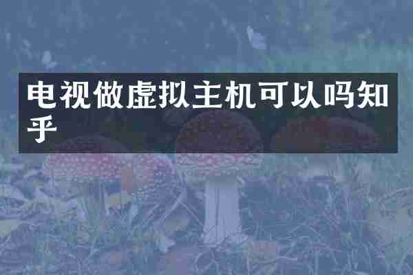 电视做虚拟主机可以吗知乎