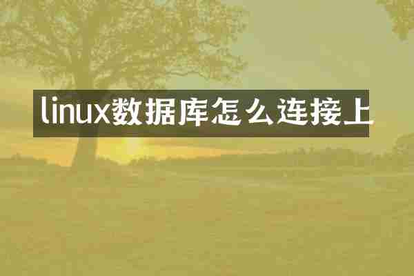 linux数据库怎么连接上