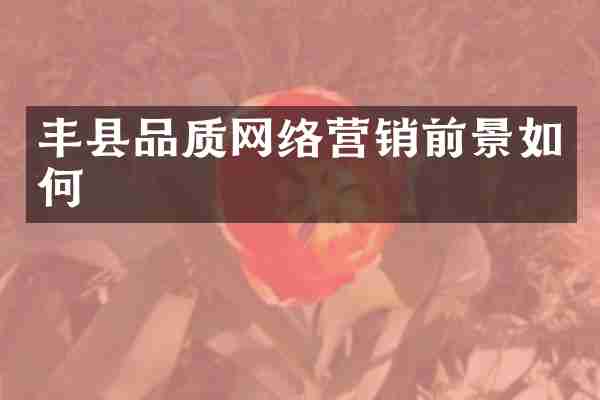 丰县品质网络营销前景如何