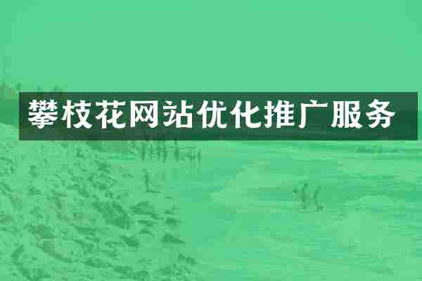 攀枝花网站优化推广服务