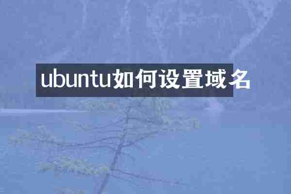 ubuntu如何设置域名