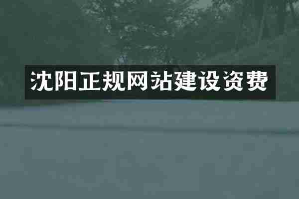 沈阳正规网站建设资费