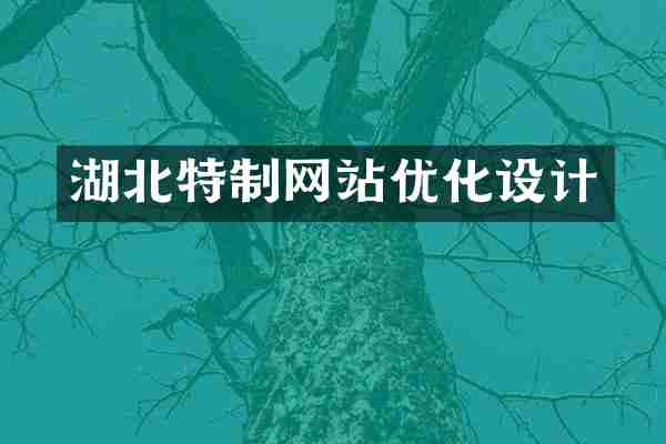湖北特制网站优化设计