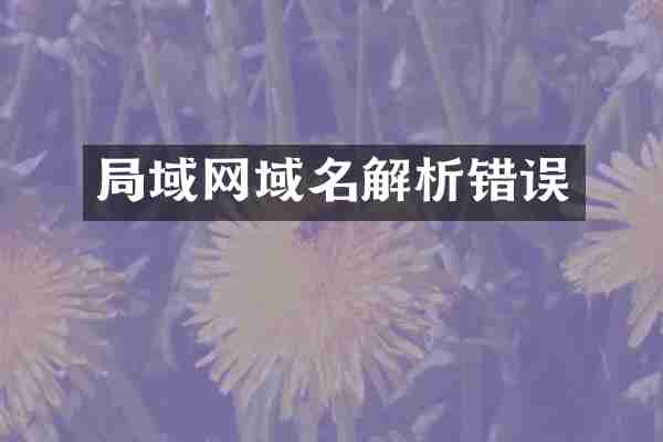 局域网域名解析错误