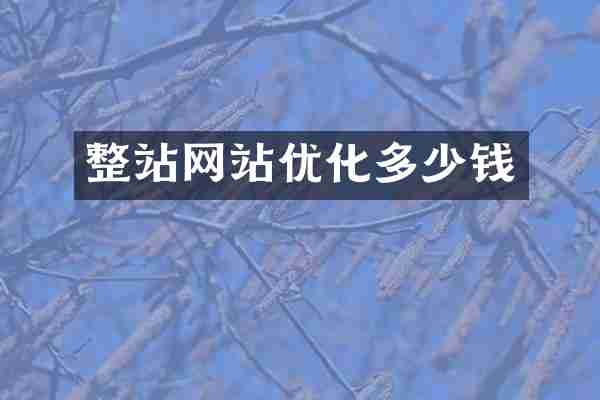 整站网站优化多少钱