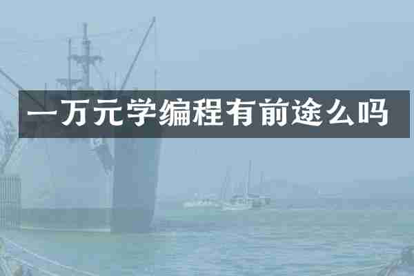 一万元学编程有前途么吗