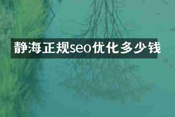 静海正规seo优化多少钱