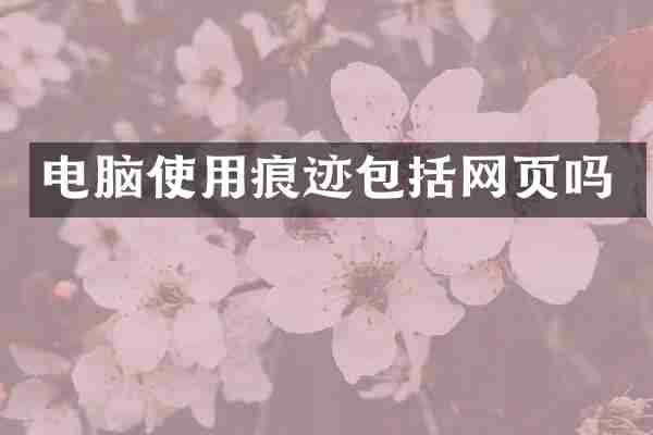 电脑使用痕迹包括网页吗