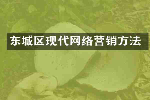 东城区现代网络营销方法