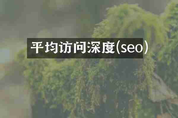 平均访问深度(seo)