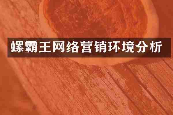 螺霸王网络营销环境分析