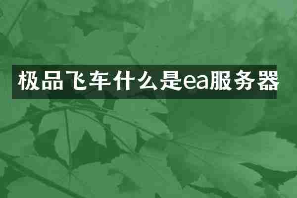 极品飞车什么是ea服务器