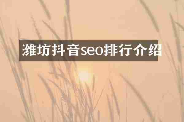 潍坊抖音seo排行介绍