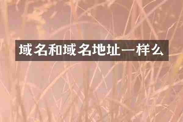 域名和域名地址一样么