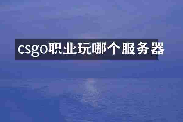 csgo职业玩哪个服务器