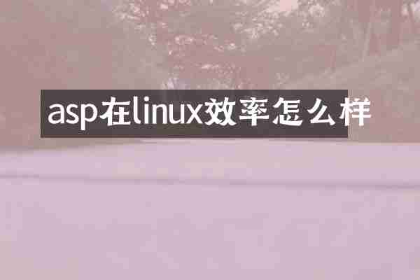 asp在linux效率怎么样