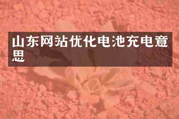 山东网站优化电池充电意思