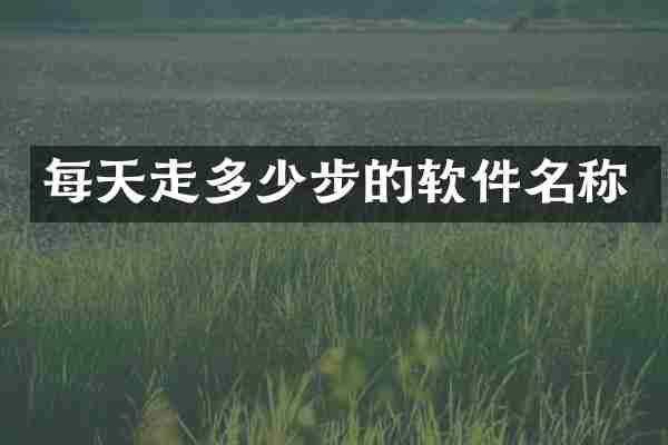每天走多少步的软件名称