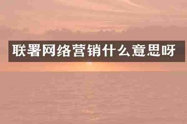 联署网络营销什么意思呀