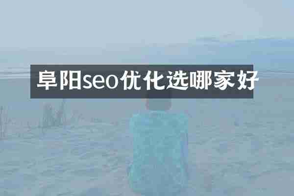 阜阳seo优化选哪家好