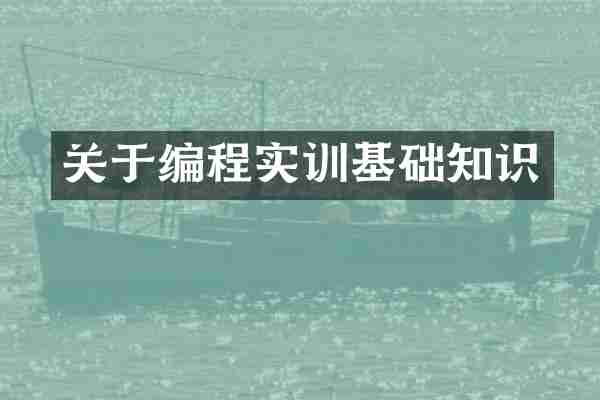 关于编程实训基础知识