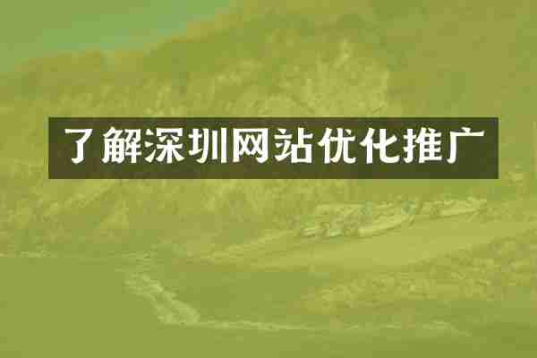 了解深圳网站优化推广