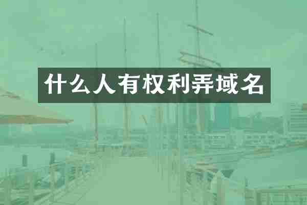什么人有权利弄域名