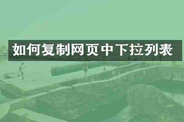 如何复制网页中下拉列表