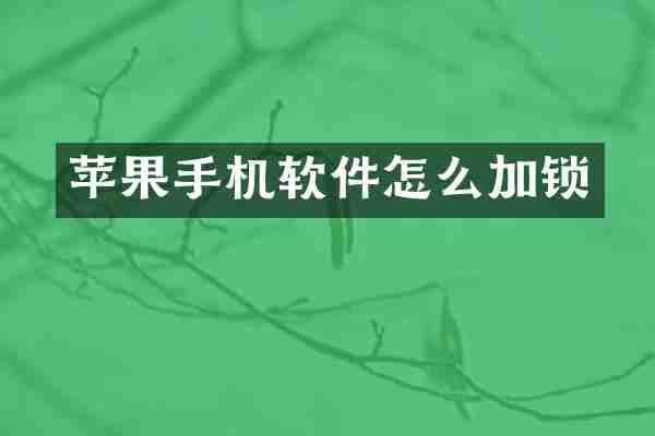 苹果手机软件怎么加锁